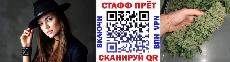 Где купить наркоту Курлово Cocaine  Псилоцибиновые грибы  СК  МАРИХУАНА  Мефедрон 