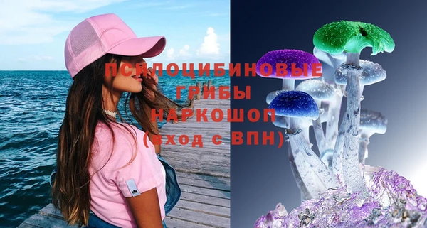 соль ск Вязники