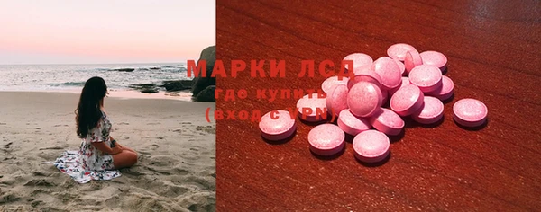 ECSTASY Новозыбков