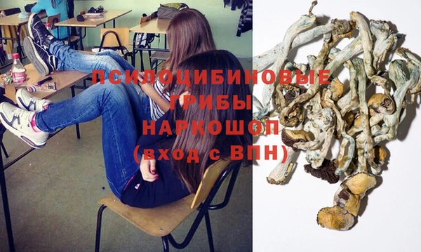 СК Няндома