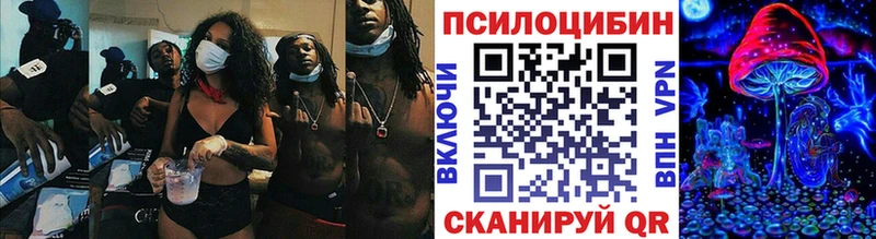 Псилоцибиновые грибы Psilocybine cubensis  Курлово 